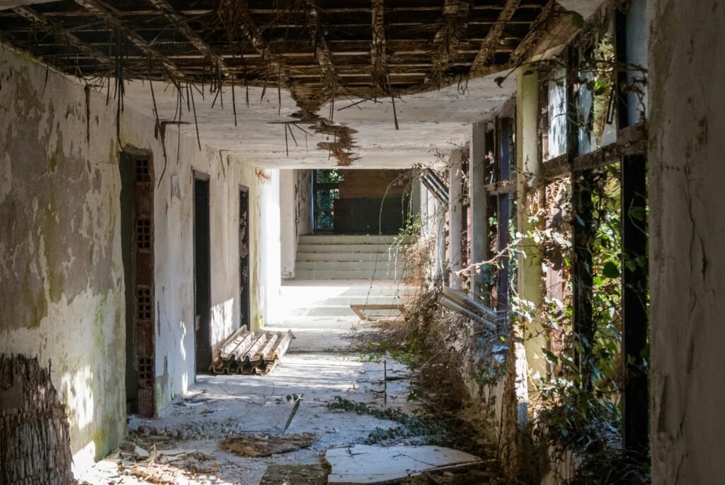 Explore an eerie, sunlit abandoned corridor in Ohrid with overgrown vegetation and decayed architecture.